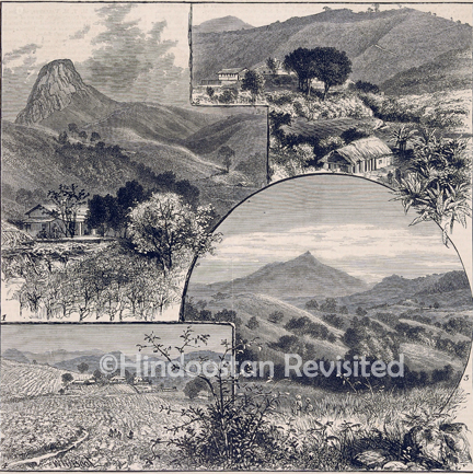 /data/Original Prints/Miscellaneous/THE WYNAAD GOLD FIELDS SOUTHERN INDIA.jpg